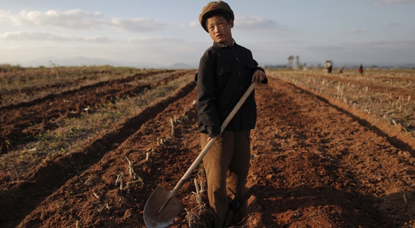 Collective Farm in North Korea, image by Damir Sagolj, Reuters