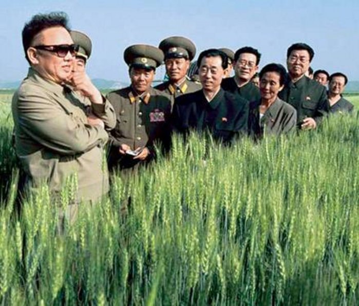 Kim Looking 1