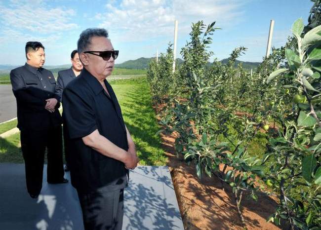Kim Looking
