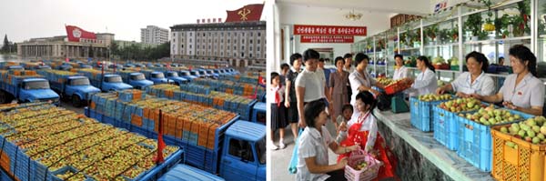 Rodong Sinmun 2012-07-16-04-02 水果运输队满载头喷桃子抵达平壤 Fruit Army